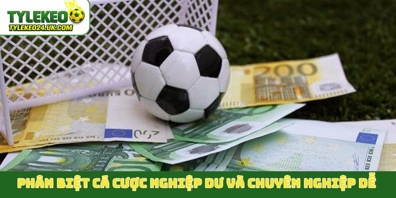 Phân biệt cá cược nghiệp dư và chuyên nghiệp dễ hiểu